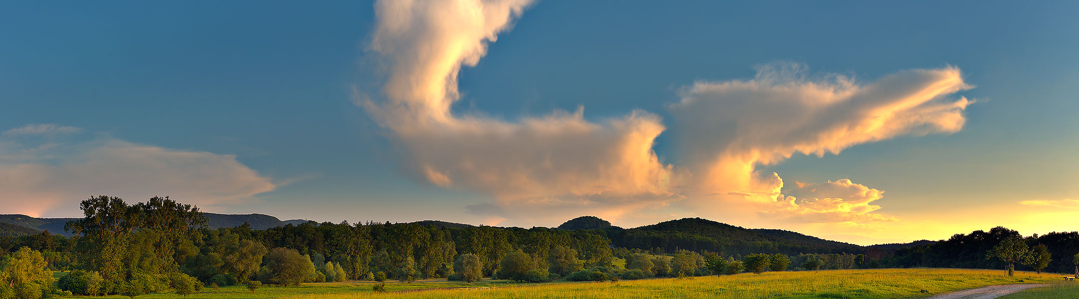 Wolkenfisch