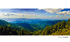 schwarzwald_3